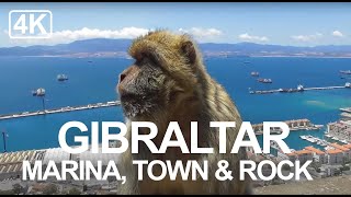 Gibraltar Highlights Walk  The Rock The Monkeys Irish Town amp Ocean Village [upl. by Nnhoj856]