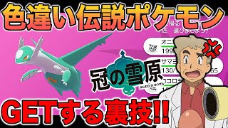 【ポケモン剣盾】色違い伝説ポケモンをダイマックスアドベンチャーで厳選する方法を解説します口の悪いオーキド博士の実況【柊みゅう】 [upl. by Aitam]