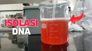 Isolasi DNA [upl. by Gaspar]