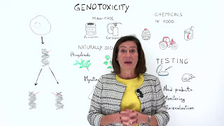 Genotoxic substances can damage DNA How does science help to keep them out of food [upl. by Chui]