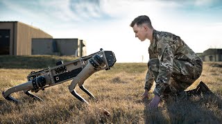 Meet the Futuristic Military Robot Dog [upl. by Lativa]