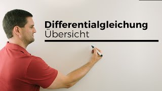 Differentialgleichung Differenzialgleichung Übersicht Schreibweisen  Mathe by Daniel Jung [upl. by Pasquale]