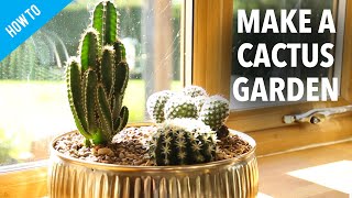 How to make a Cactus Garden [upl. by Patrizius]