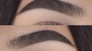 MY BROW ROUTINE  Krimd [upl. by Lednew961]