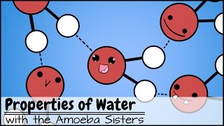 Properties of Water [upl. by Oijimer4]