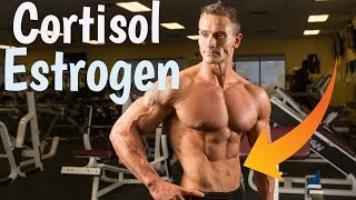 Estrogen and Cortisol 2 Hormones That Affect Belly Fat Thomas DeLauer [upl. by Nnael]