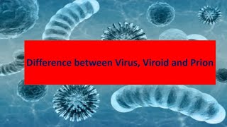 Difference between virus viroid and prions [upl. by Cherice]