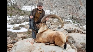 BEZOAR IBEX HUNTING TURKISH FRONTIER  ÖZHAN ARSLAN [upl. by Frederick]