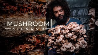 Cultivating Gourmet and Medicinal Mushrooms  PARAGRAPHIC [upl. by Piks]