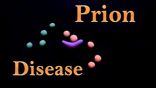 Prion  prion disease [upl. by Nide]