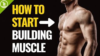 How To Start Building Muscle For Beginners [upl. by Yatnohs]