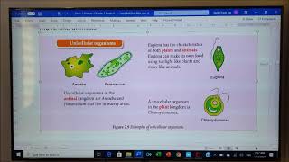 Form 1 Science 23 Unicellular Organism and Multicellular Organism [upl. by Ennovaj]