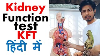 Kidney function test in hindi  Normal range and procedure explained [upl. by Llenyaj511]