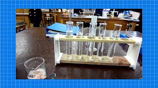 A level Biology ENZYMES REQUIRED PRACTICAL [upl. by Weaver69]