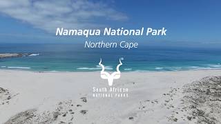 Namaqua National Park where to coast meets the greatest flower show on earth [upl. by Arabrab]