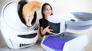 5 Best Automatic SelfCleaning Litter Boxes We Tested Them All [upl. by Joslyn]