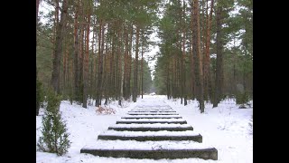 Treblinka  The 1943 Uprising Episode 2 [upl. by Celine381]