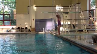 Teach a Flip for Springboard Diving [upl. by Notsgnal]