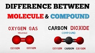 DIFFERENCE BETWEEN A MOLECULE amp A COMPOUND   AboodyTV   Chemistry [upl. by Lachlan]