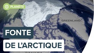 Lévolution de la fonte en arctique de 1984 à 2019  Futura [upl. by Ahsielat]