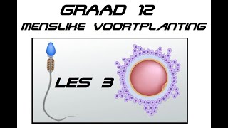 Lewenswetenskappe GR12 Menslike Voortplanting Les3 [upl. by Ahsied]