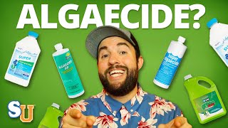 The TRUTH About Using ALGAECIDE In Your POOL [upl. by Lough]