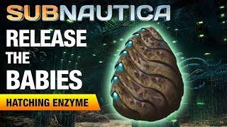 Making the Hatching Enzyme  SUBNAUTICA [upl. by Haily]