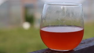 Easy Homemade Natural Wine [upl. by Aniretak]