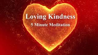 Quick 5 Minute Guided Meditation  Loving Kindness for Self [upl. by Jesh404]