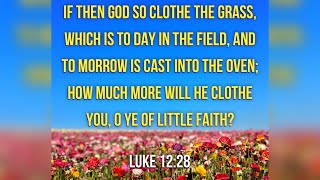 KJV Bible Songs Consider the lilies Luke 122728 [upl. by Eetsirk844]