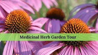 Medicinal Herb Garden Tour [upl. by Ninnette842]