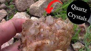 Digging Quartz Crystals  We Found The Source [upl. by Georgianna]