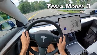 2021 Tesla Model 3 Performance  Is it a Drivers Car POV [upl. by Titus]