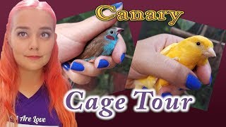 Canary amp Finch Cage Tour [upl. by Alehcim15]