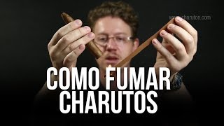 Como Fumar um Charuto  Como Degustar um Charuto  Degustando Charutos [upl. by Novi]