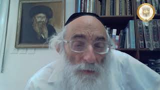 Vayichan  Rav Moshe Meiselman [upl. by Middle]