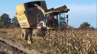 FORAGE HARVESTER in the MUD  2020 Corn Silage in France  Short History [upl. by Pihc]