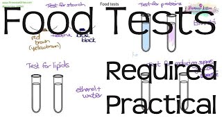 Food Tests  Required Practical Biology GCSE or iGCSE [upl. by Nnovahs]