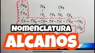 Nomenclatura de ALCANOS Ramificados 🔗🔗🔗 paso a paso [upl. by Atinauq]