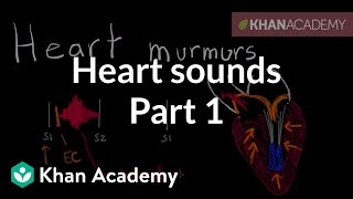 Systolic murmurs diastolic murmurs and extra heart sounds  Part 1  NCLEXRN  Khan Academy [upl. by Susana]