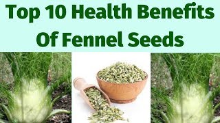 Top 10 Health Benefits Of Fennel Seeds [upl. by Arrec]