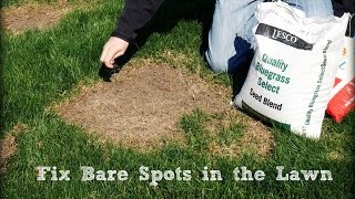 How To Seed And Repair Bare Spots in the Lawn [upl. by Ecaidnac]