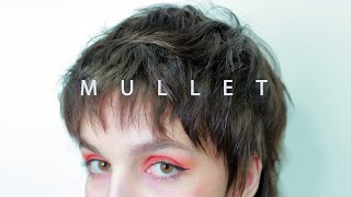 ✂️ SHAG MULLET from bob to mullet  modern textured layered haircut [upl. by Forkey]