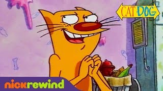 CatDog Candy Company  CatDog  Nicktoons [upl. by Eelitan]