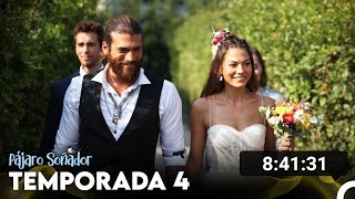 Pájaro Soñador Temporada 4 Todos Los Capítulos Doblado En Español [upl. by Niraj]