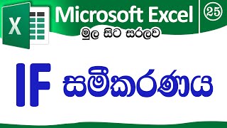 IF Function  Microsoft Excel for Beginners in Sinhala  Part 25 [upl. by Tavia]