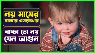 Movie Explained in Bangla Top Comedy Movies [upl. by Fawn317]