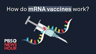 How do mRNA COVID19 vaccines work [upl. by Klara159]