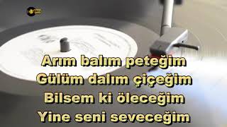 Arım Balım Peteğim  KARAOKE  TSM [upl. by Anaila]