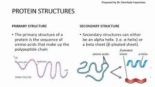 Chapter 23 Biological Molecules  Proteins [upl. by Gower817]